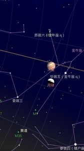 谷歌星空安卓版截屏1